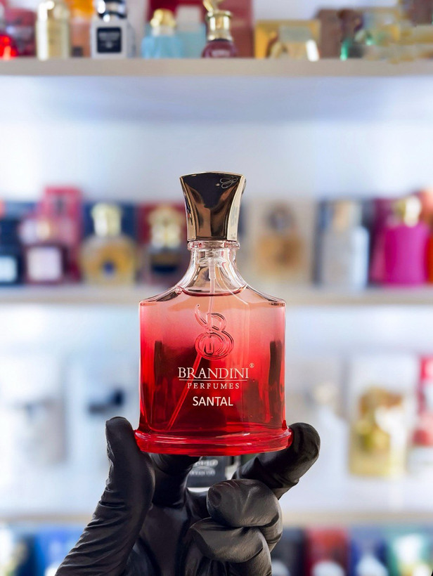 کید سانتال | Ceed Santal
