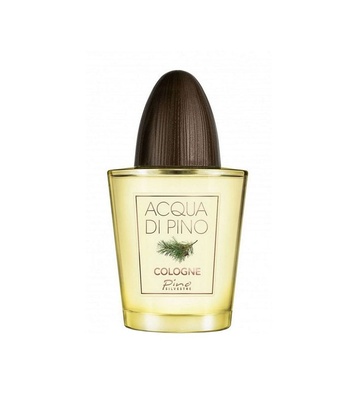 عطر ادکلن پینو سیلوستره آکوا دی پینو کلون | Pino Silvestre Acqua di Pino Cologne
