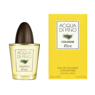 عطر ادکلن پینو سیلوستره آکوا دی پینو کلون | Pino Silvestre Acqua di Pino Cologne