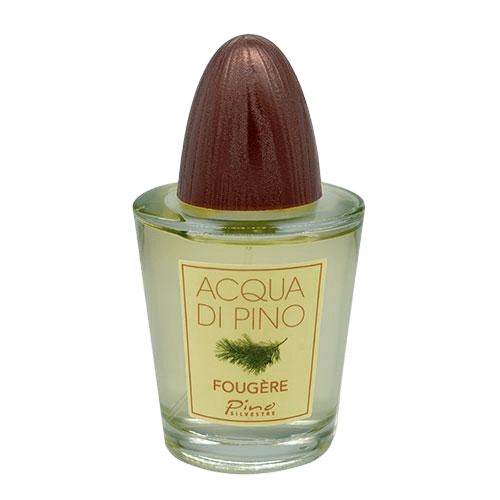 عطر ادکلن پینو سیلوستره آکوا دی پینو کلون | Pino Silvestre Acqua di Pino Cologne