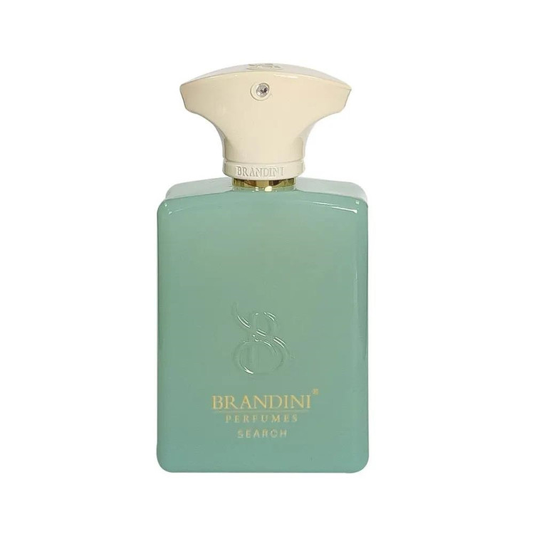 عطر ادکلن آمواج سرچ | Amouage Search برندینی پک دار مناسب هدیه