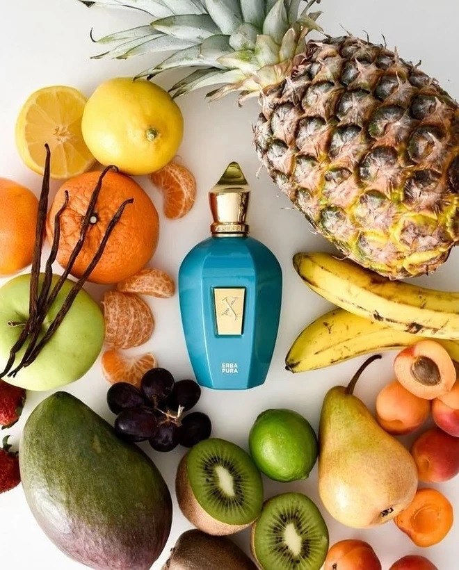 عطر ادکلن زرجوف اربا پورا | Xerjoff Erba Pura سوپر اسمارت کد 006